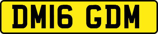 DM16GDM