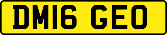 DM16GEO