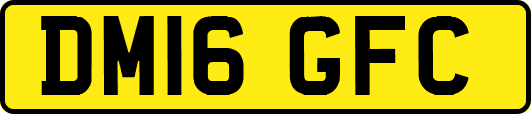 DM16GFC
