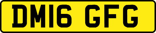 DM16GFG
