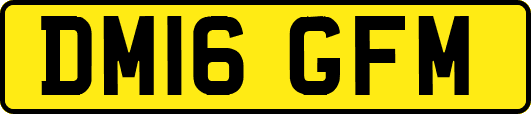 DM16GFM