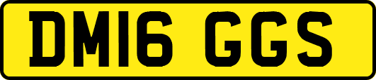 DM16GGS