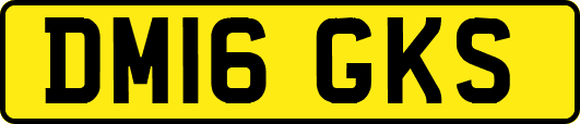 DM16GKS