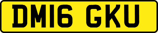 DM16GKU