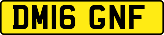DM16GNF