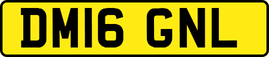 DM16GNL