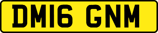 DM16GNM