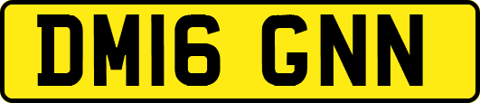 DM16GNN
