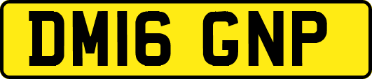 DM16GNP