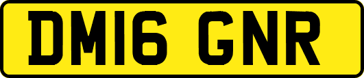 DM16GNR