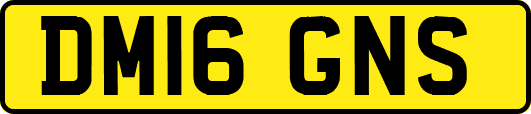 DM16GNS