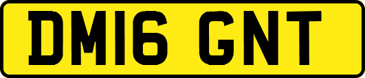 DM16GNT
