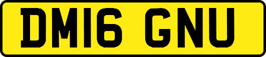 DM16GNU
