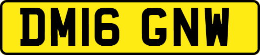 DM16GNW