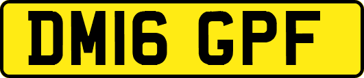 DM16GPF
