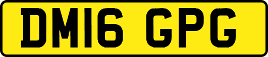 DM16GPG