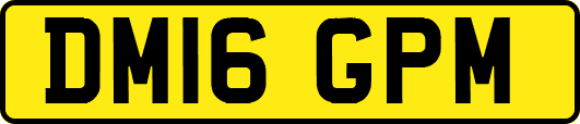 DM16GPM