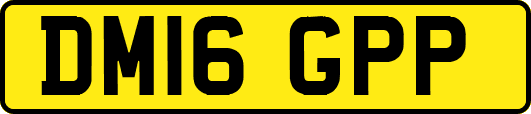 DM16GPP