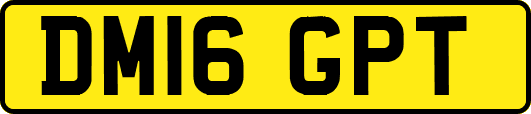 DM16GPT