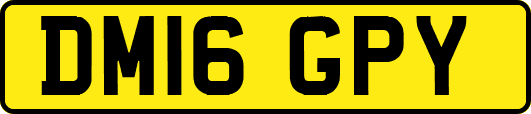 DM16GPY