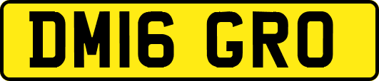 DM16GRO