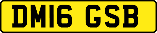DM16GSB