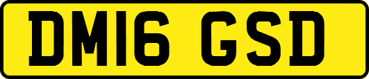 DM16GSD