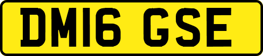 DM16GSE