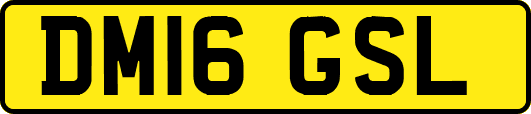 DM16GSL