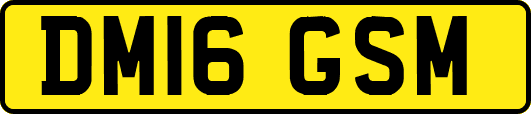 DM16GSM