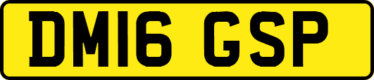 DM16GSP