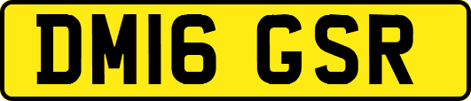 DM16GSR
