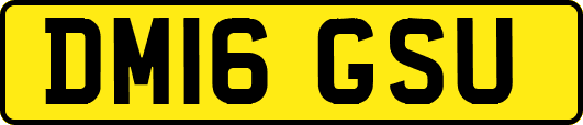 DM16GSU