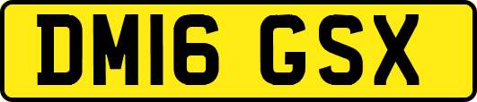 DM16GSX