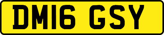 DM16GSY