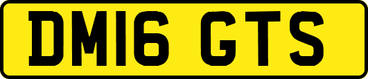 DM16GTS