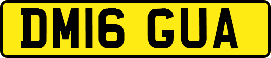 DM16GUA