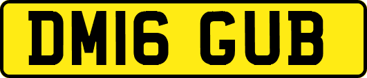 DM16GUB
