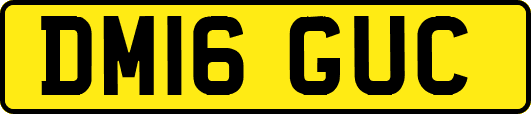 DM16GUC