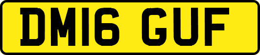 DM16GUF