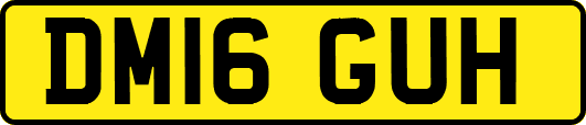 DM16GUH