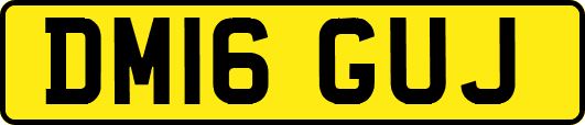 DM16GUJ