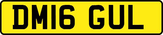 DM16GUL