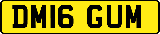 DM16GUM