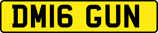 DM16GUN