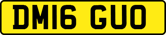 DM16GUO