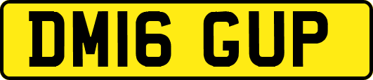 DM16GUP