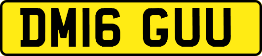 DM16GUU