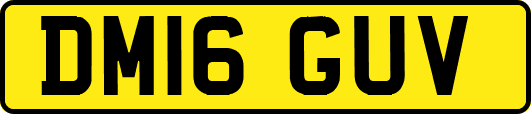 DM16GUV