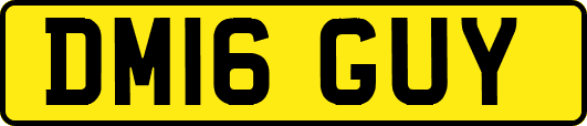 DM16GUY
